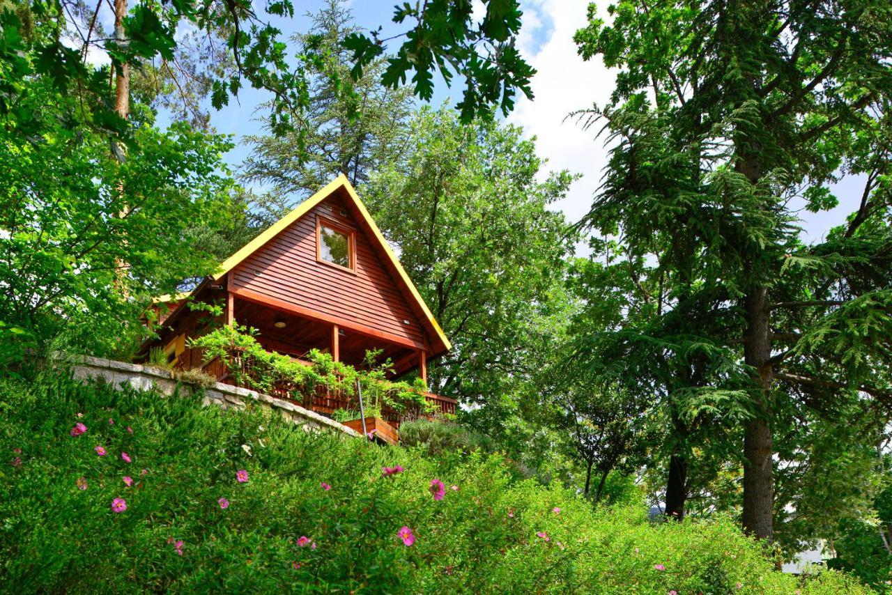 Nima Navacerrada Villa Buitenkant foto